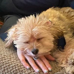 Meet your Posher, Andrew